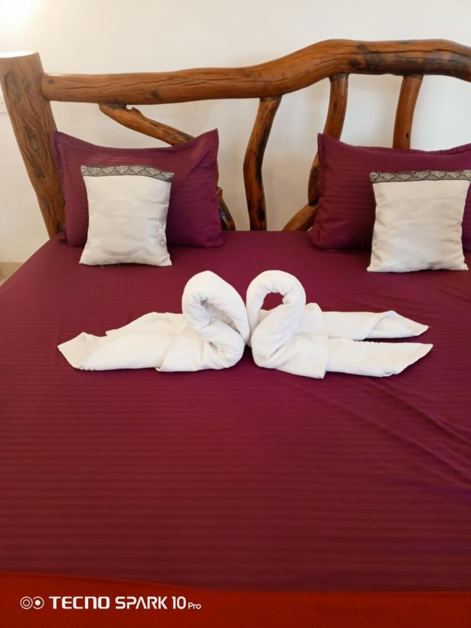 Ayurvedic Lanka Wellness Hotel Moragaswewa Ngoại thất bức ảnh
