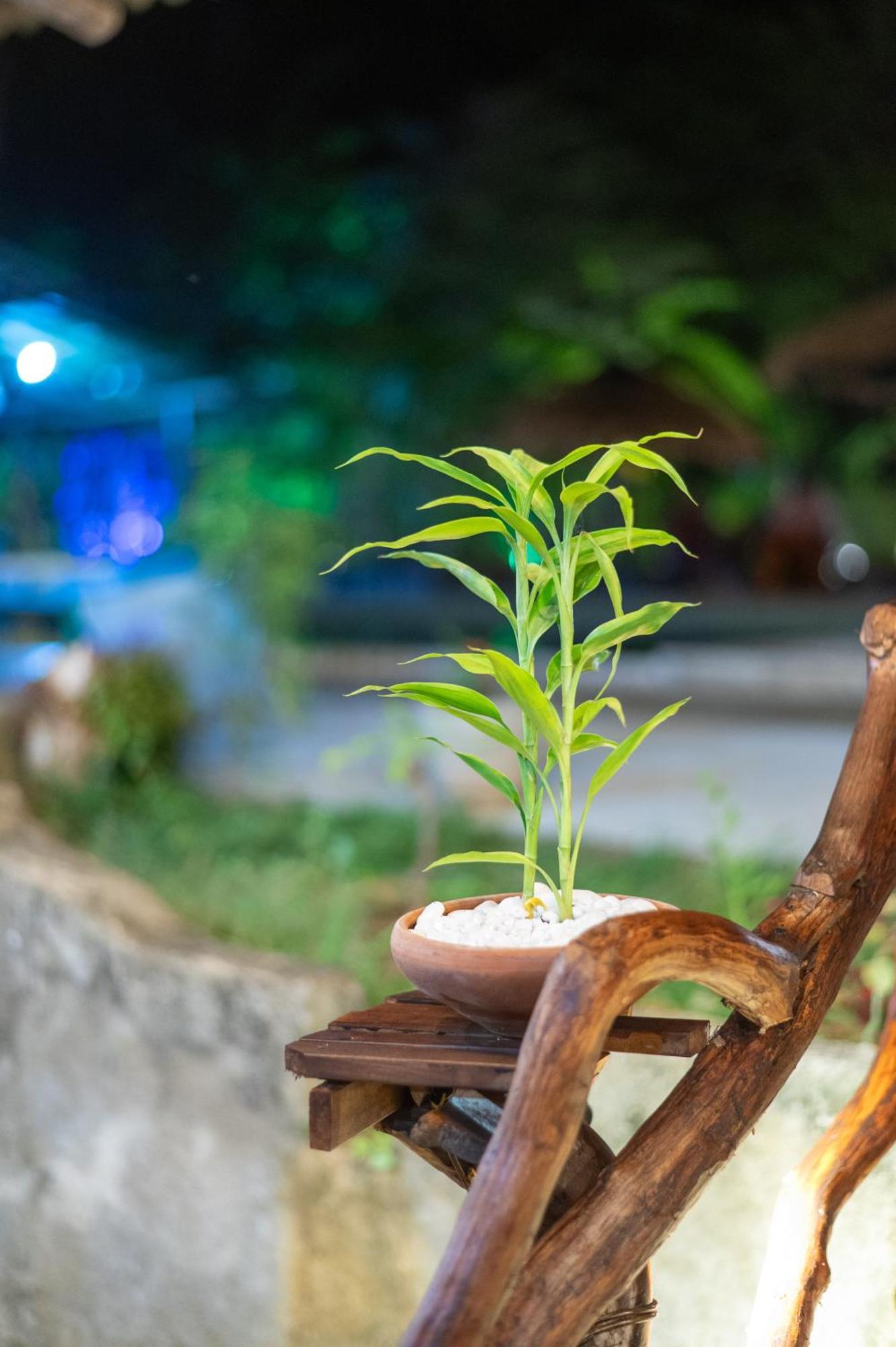 Ayurvedic Lanka Wellness Hotel Moragaswewa Ngoại thất bức ảnh