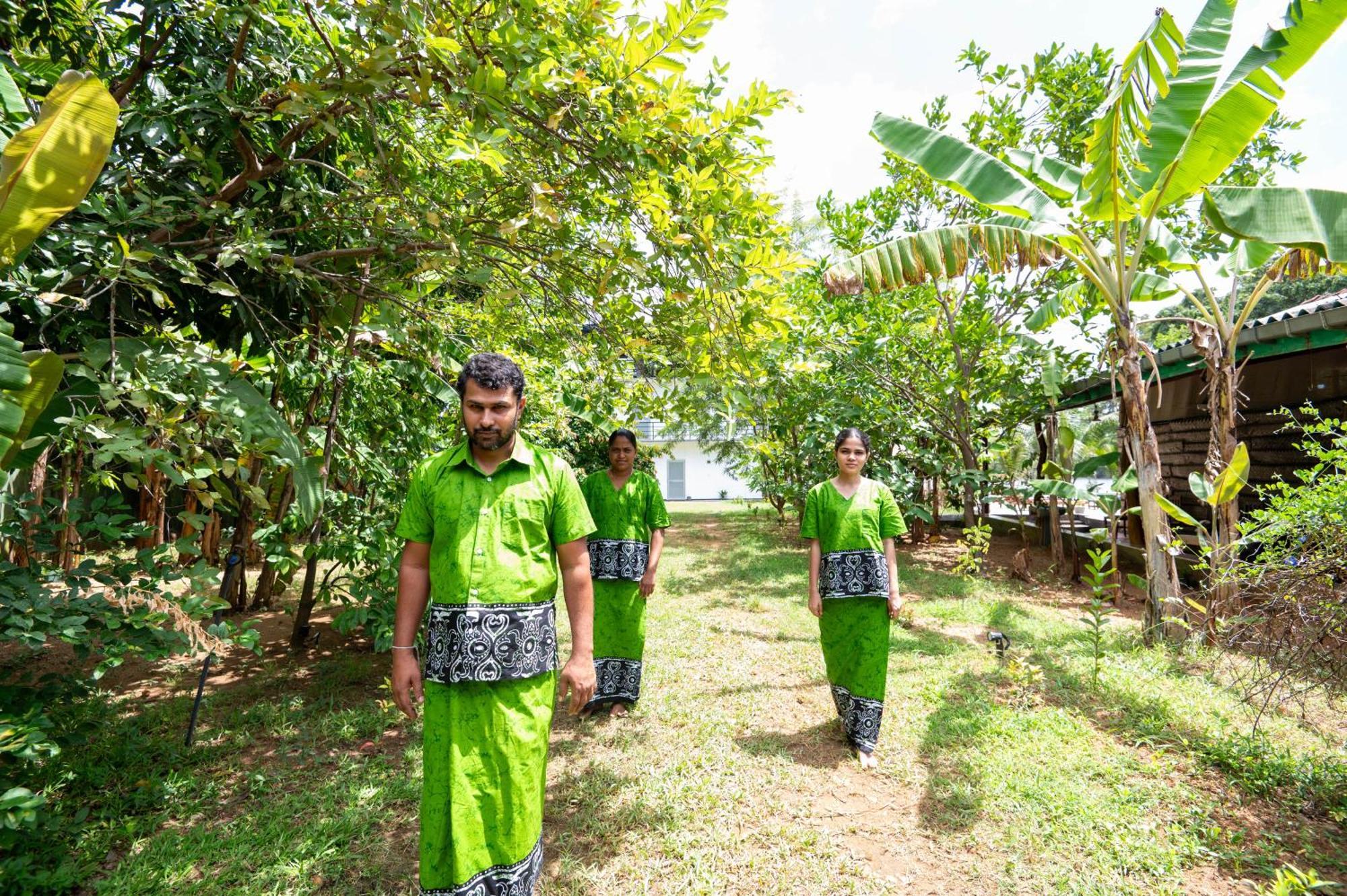 Ayurvedic Lanka Wellness Hotel Moragaswewa Ngoại thất bức ảnh